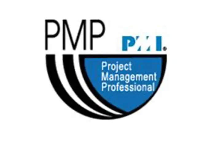 Project Management Professional (PMP)