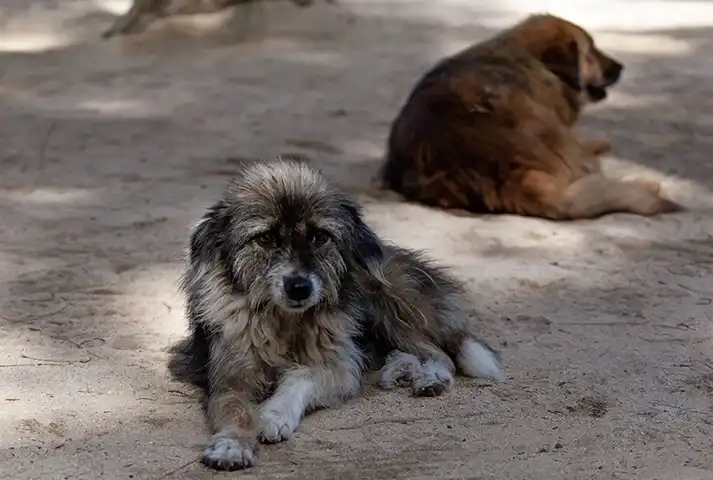     Reducción de abandonos 