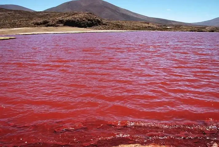 Mar Rojo, océano índico