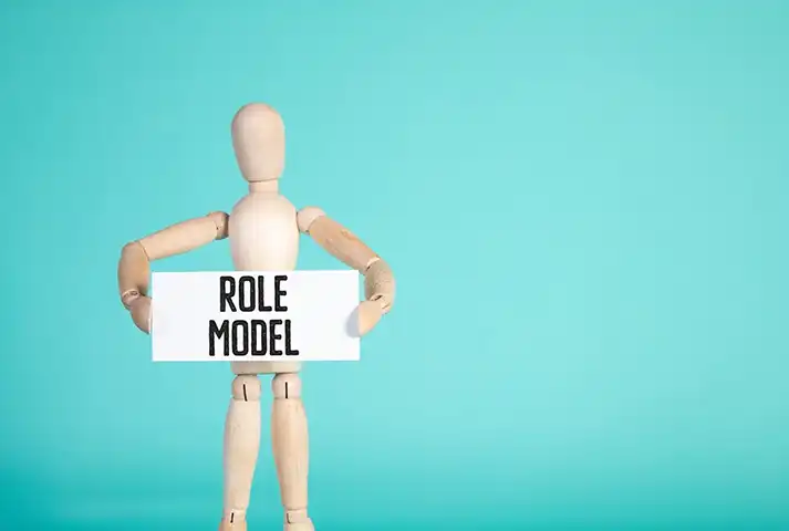 6-Role model