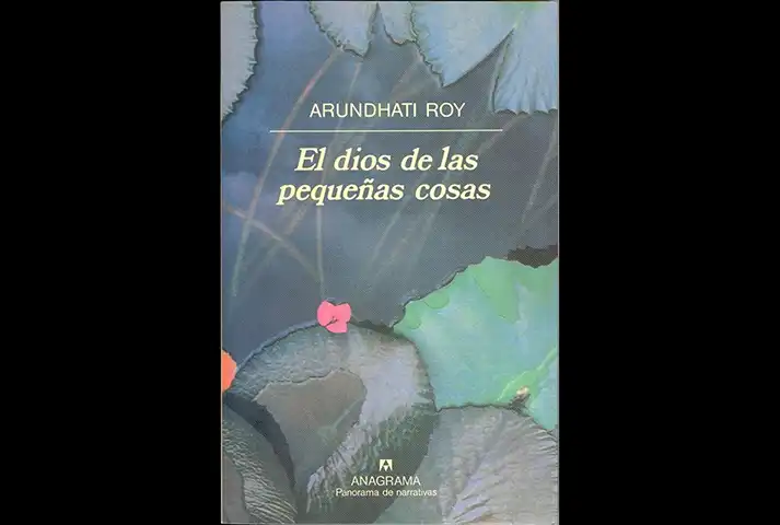 Arundhati Roy, El dios de las pequeñas cosas